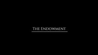 APPRENTICE DEVALL Chapter 10 – The Endowment