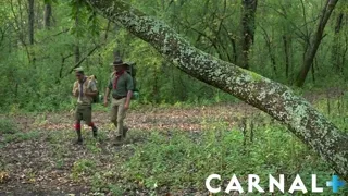 SCOUT MILO Chapter 3 – The Hike