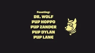 Gay Pup Play Kennel: Twinks Breed & Spitroast Vol. 1