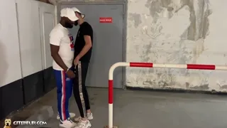 Suck that BBC