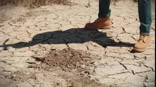 Planted