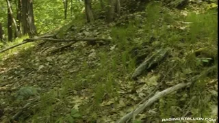 The Territory: Gripping Survival Drama in the Wild